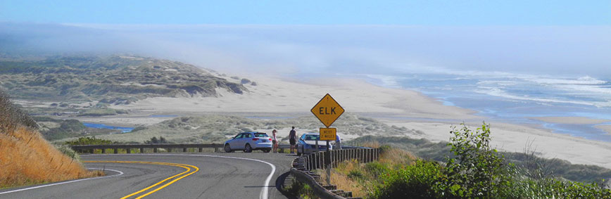 Strada in Oregon