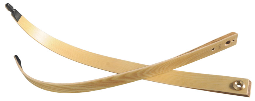 Limbs for Picchio Ash